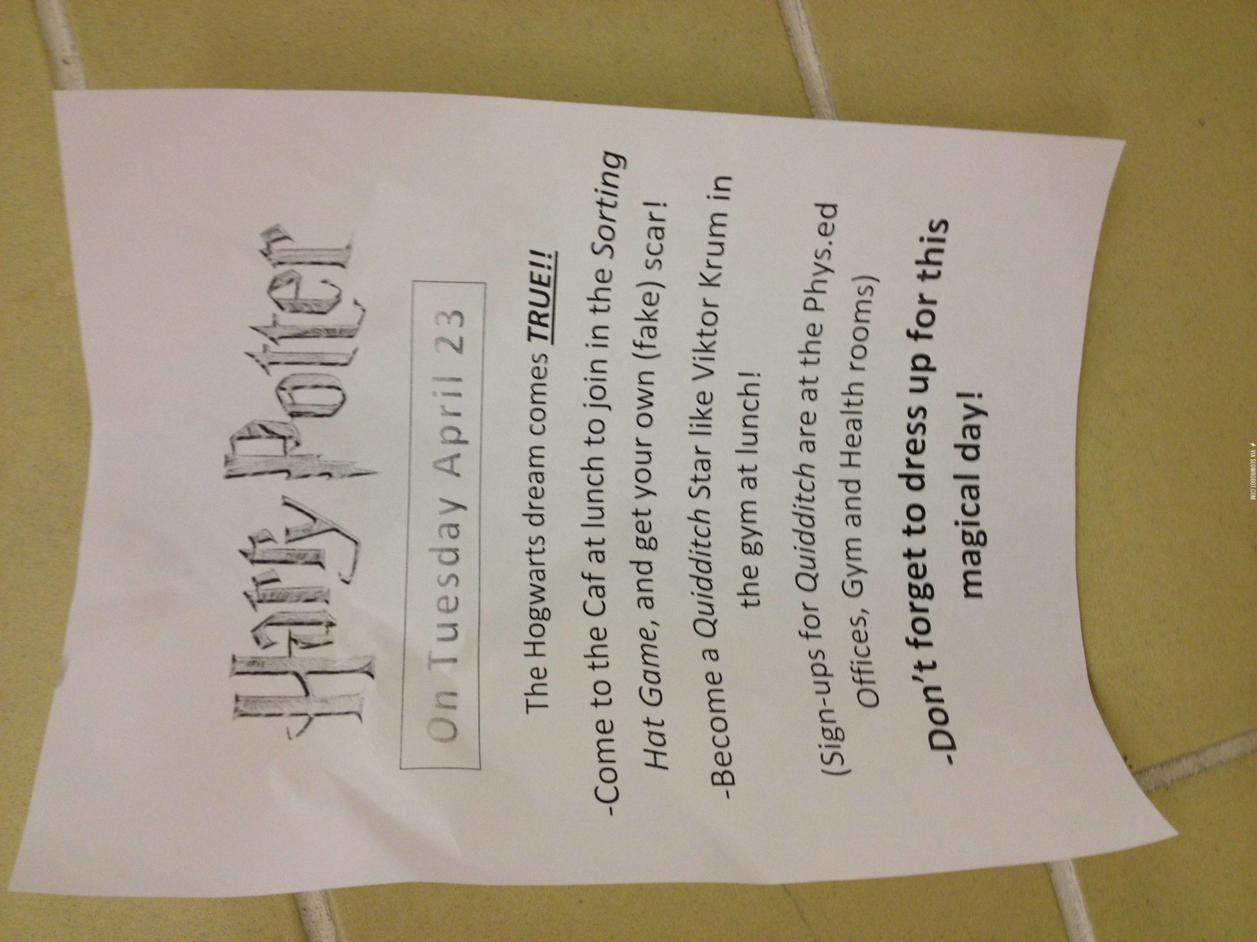 why+my+school+rocks.