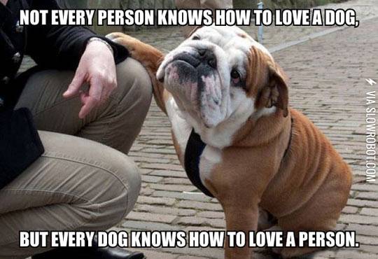 Man%26%238217%3Bs+best+friend.