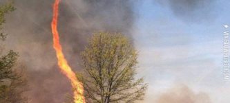 Firenado