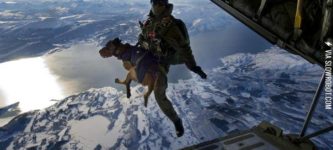 Austrian+Special+Forces+dog+makes+a+jump+from+10%2C000+feet