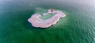 Dead-Sea+tree+captured+with+drone.