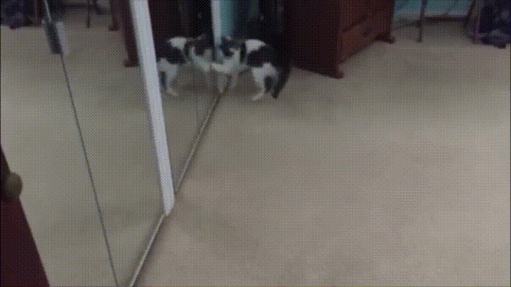 Oh..You%26%238217%3Bre+home+early