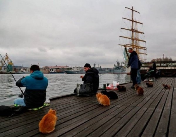 The+suspense+is+killing+me%26%238230%3B