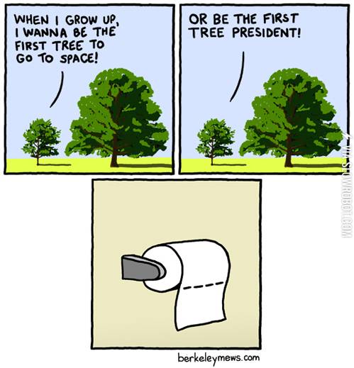 A+tree%26%238217%3Bs+broken+dreams.