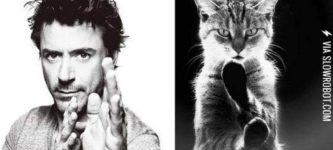 Male+models+and+their+kitteh+counterparts.