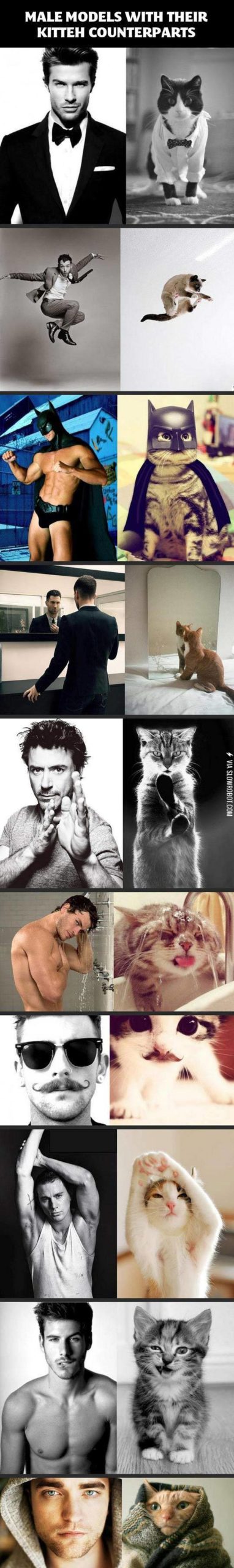 Male+models+and+their+kitteh+counterparts.