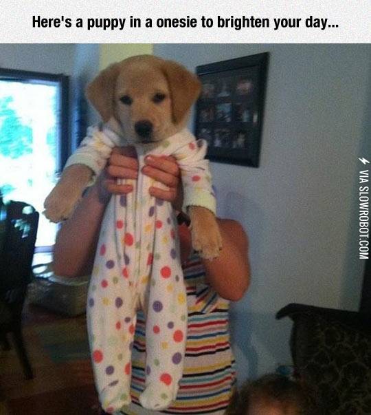 All+New+Level+Of+Cuteness