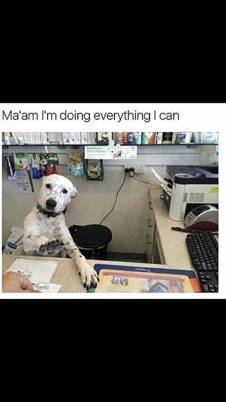 Just+chill+out%2C+Susan