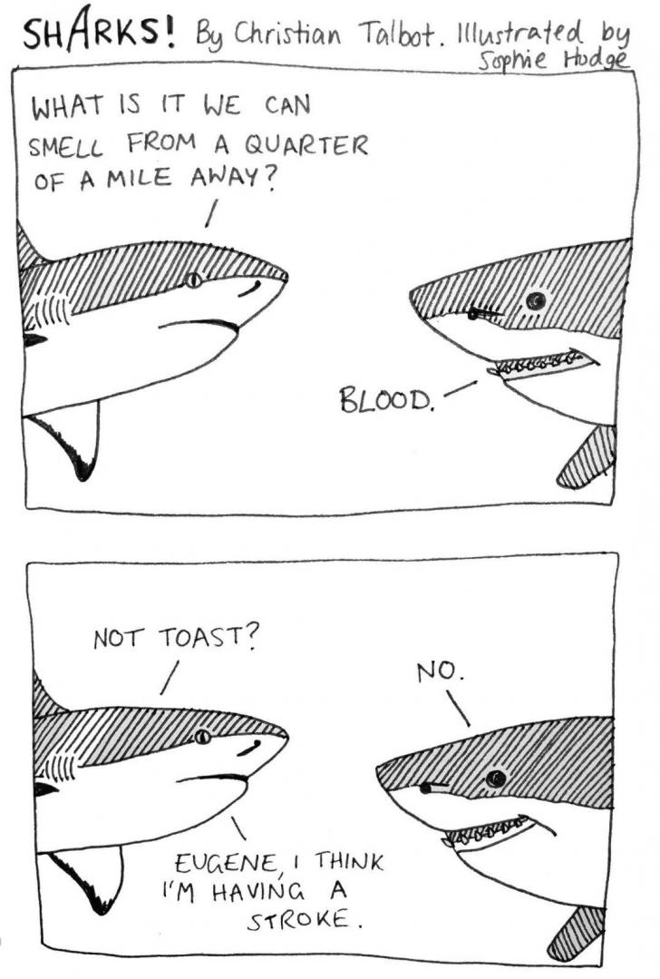 Someone+call+a+shark+doctor%21