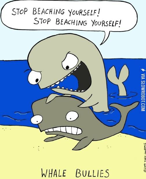 Whale+bullies.