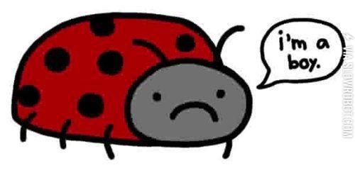 Gentleman-bug%26%238230%3B