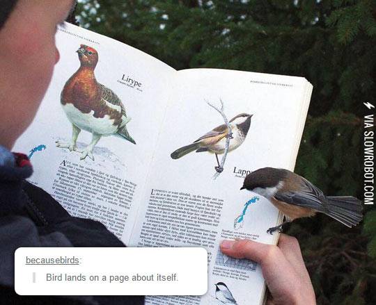 Oh%2C+You%26%238217%3Bre+Reading+About+Me%3F