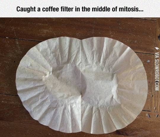 The+Miracle+Of+Nature