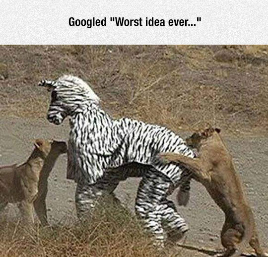 Definitely+Not+The+Brightest