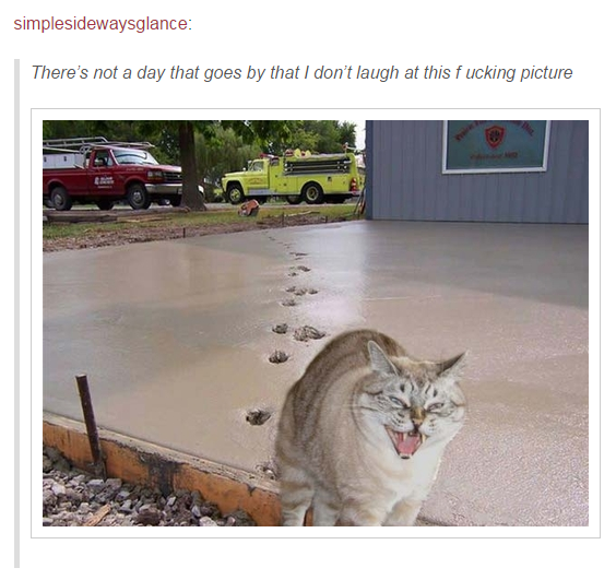 Gleeful+evil+done+right