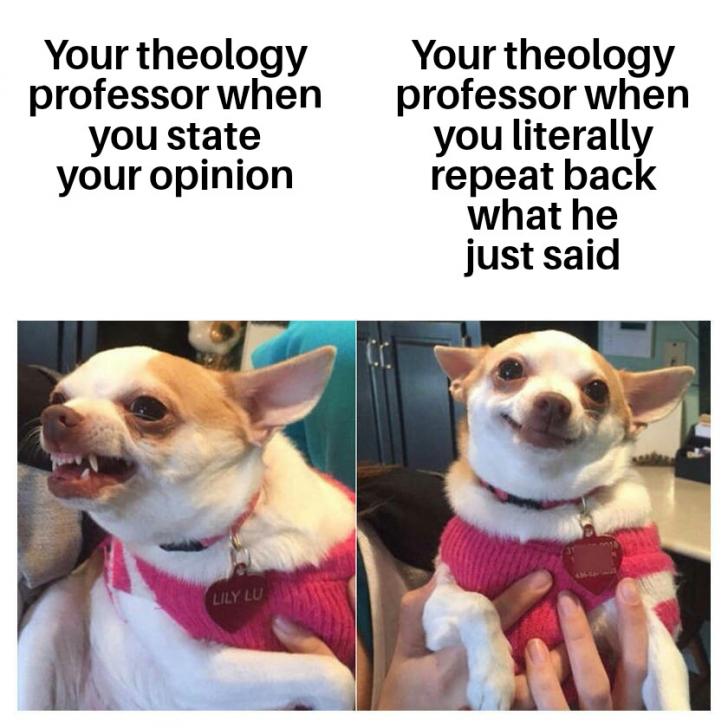Theology+professors