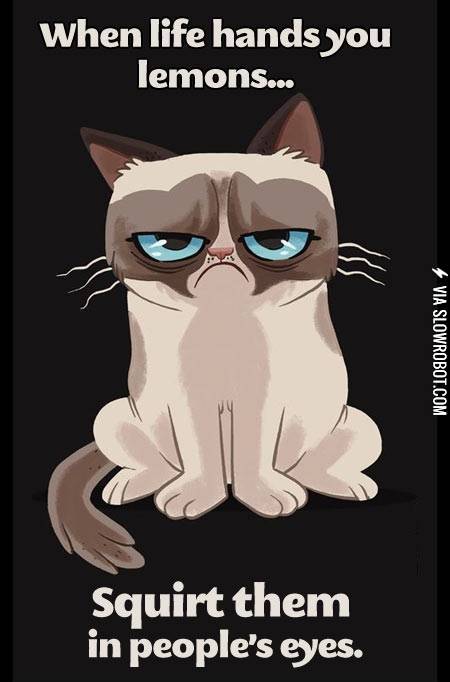 When+life+hands+you+lemons%26%238230%3B