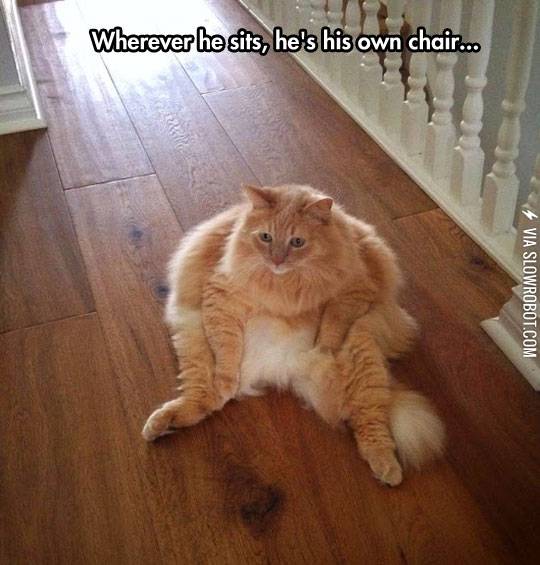 He%26%238217%3Bs+his+own+chair.