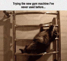 Using+The+New+Gym+Machine