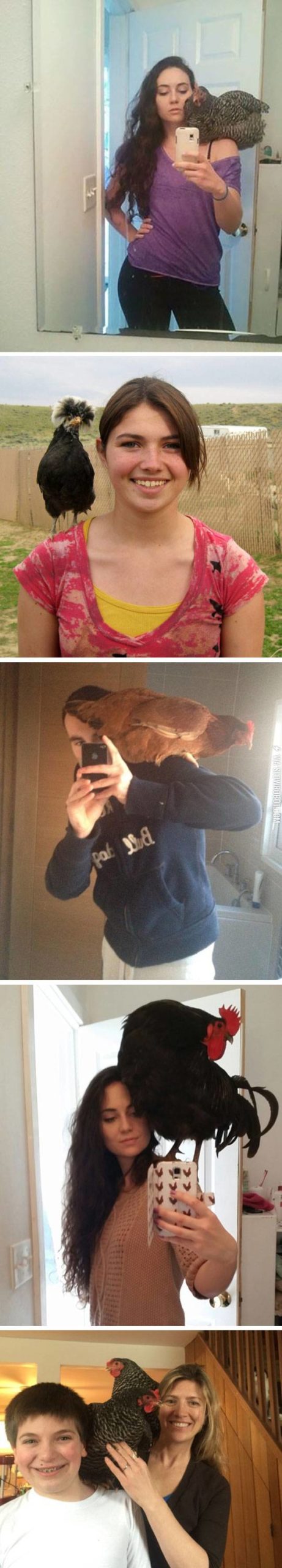 Shoulder+Chickens