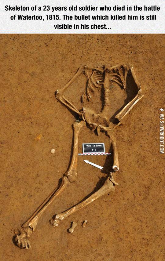 The+Skeleton+Of+A+Soldier