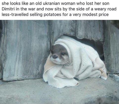 Selling+potatoes+for+a+very+modest+price