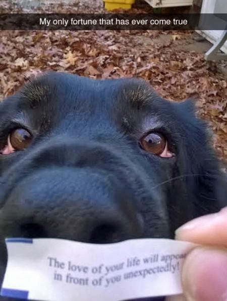 My+Only+Fortune+That+Has+Ever+Come+True