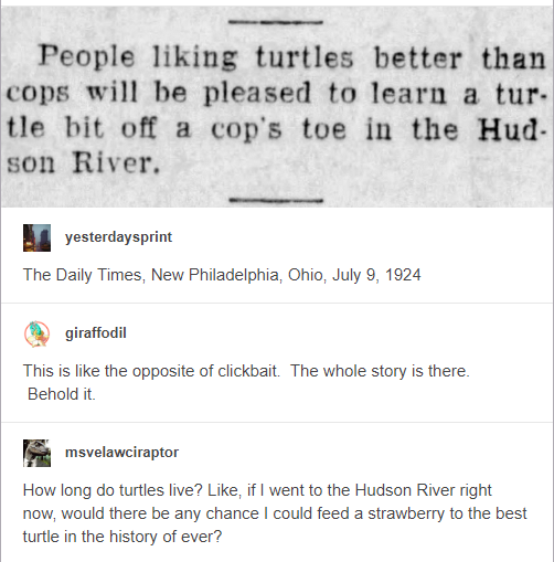 Turtle+vs+Cop
