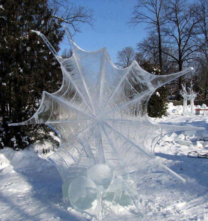 Frozen+spider.