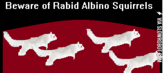 Beware+of+Rabbid+Albino+Squirrels