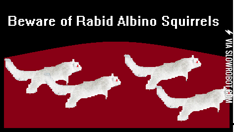 Beware+of+Rabbid+Albino+Squirrels