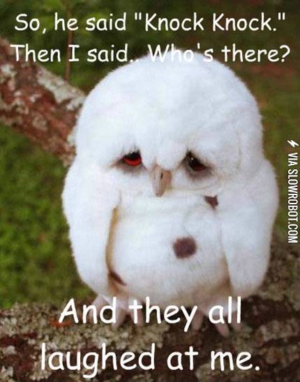 Poor+owl.