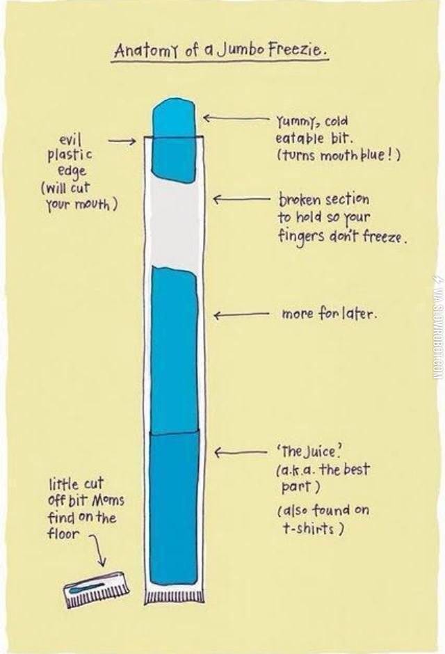Anatomy+of+a+jumbo+freezie.
