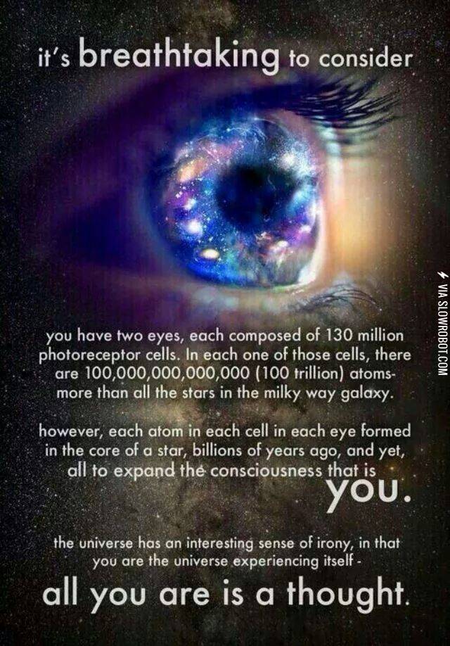 Whoa.+Trippy.
