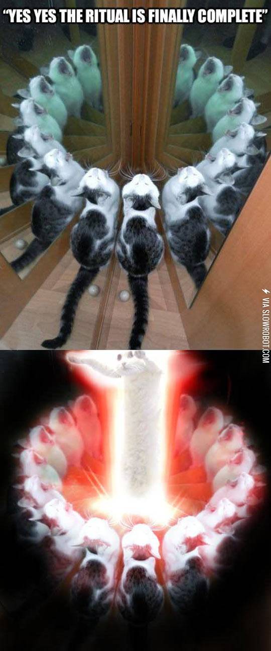 the+ritual+is+complete