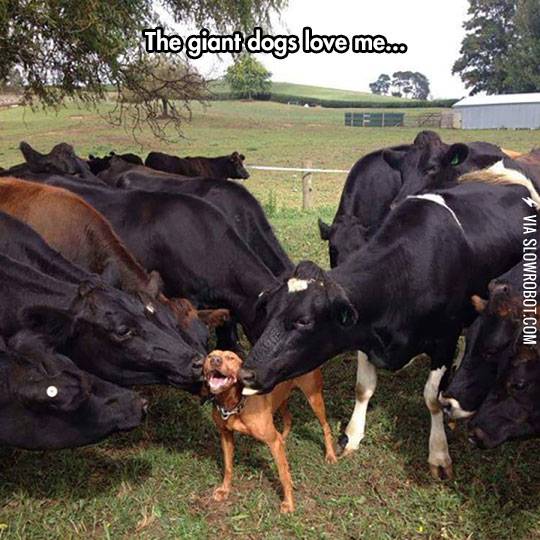 He%26%238217%3Bs+Never+Been+So+Happy