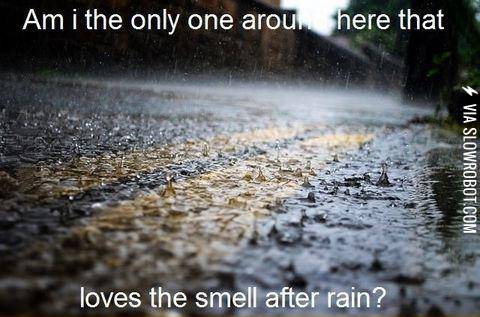 That+rain+smell