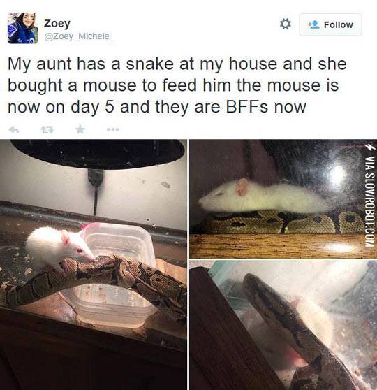 When+Food+Becomes+Your+Best+Friend