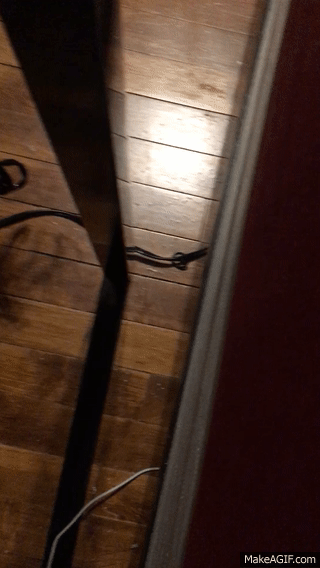 Can+I+help+you+human%3F