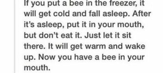 that%26%238217%3Bs+how+you+get+a+bee+in+your+mouth