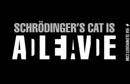 Schrodinger%26%238217%3Bs+Cat