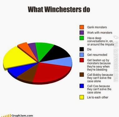 What+the+Winchesters+do.
