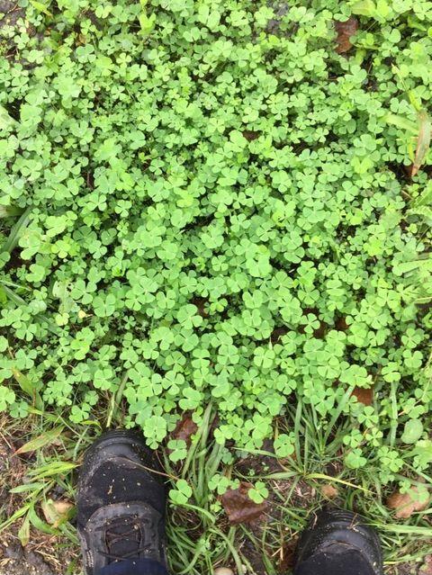 Guess+it%26%23039%3Bs+my+lucky+day