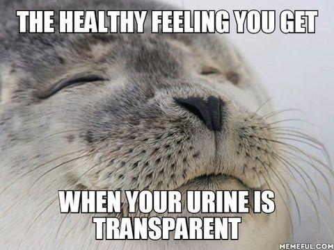 The+healthy+feeling+you+get