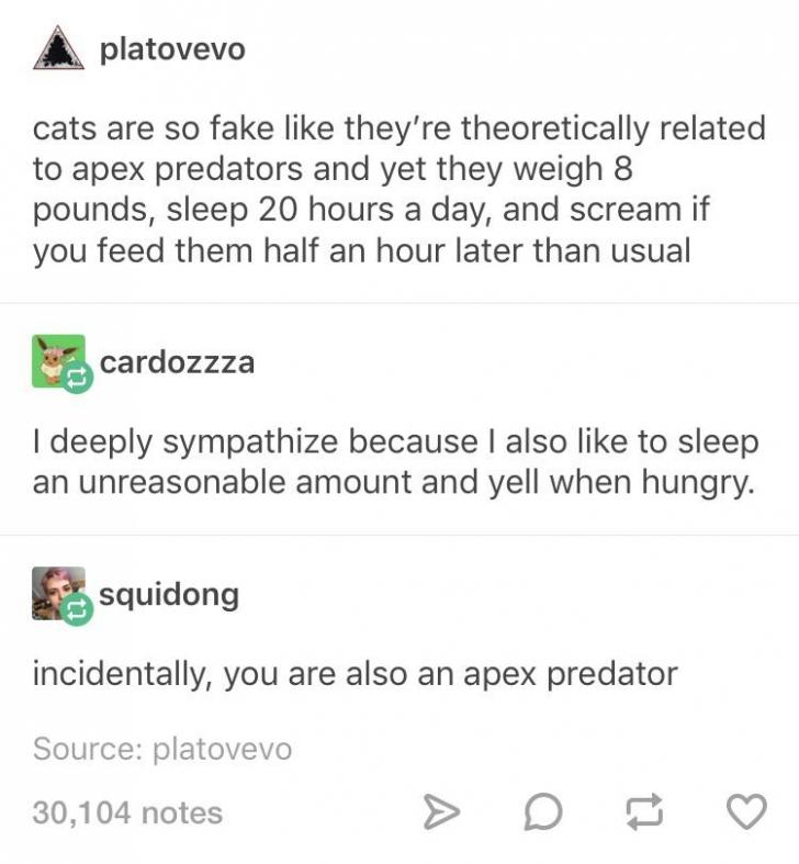 Bold+of+them+to+assume+we+are+Humans