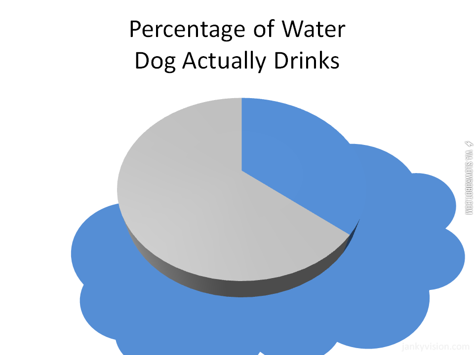 Percentage+of+Water+Dog+Actually+Drinks