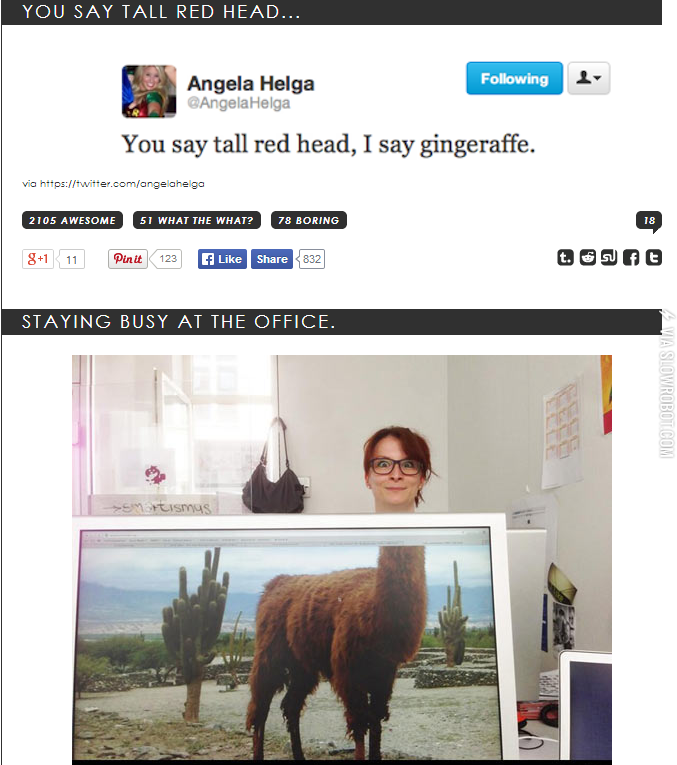 iwsmt+random+made+a+funny.