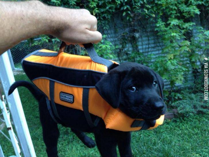 Briefcase+with+important+lab+results
