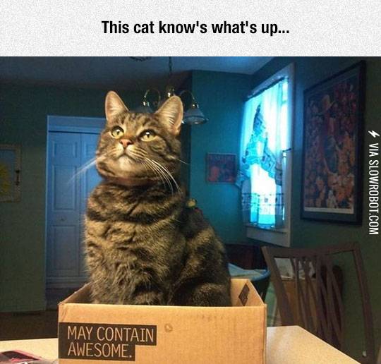 He%26%238217%3Bs+So+Proud