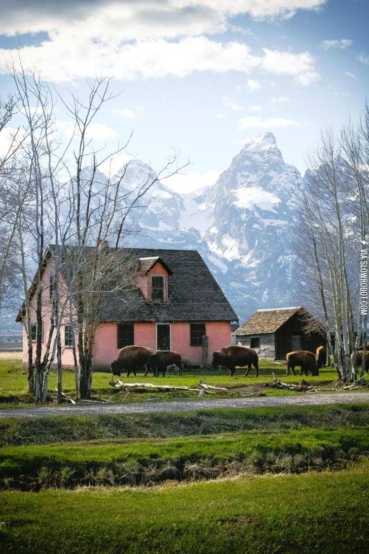 Spring+has+finally+arrived+in+the+Tetons.